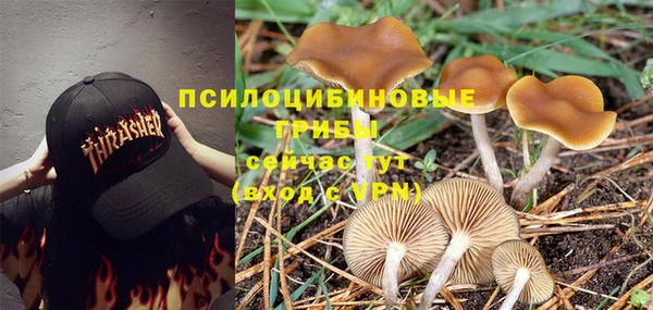 не бодяженный Белокуриха