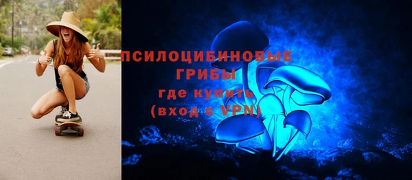 не бодяженный Белокуриха
