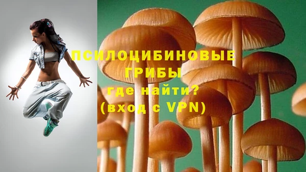 не бодяженный Белокуриха