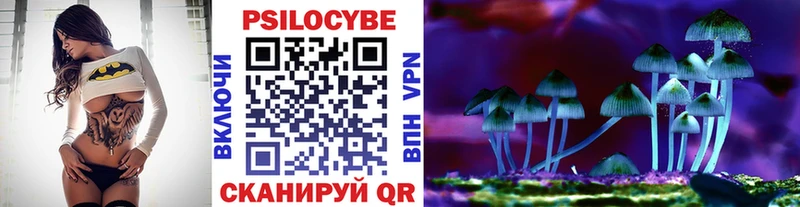 нарко площадка официальный сайт  Конаково  Псилоцибиновые грибы GOLDEN TEACHER 